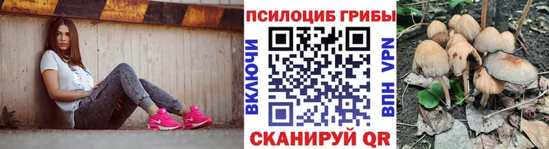 где можно купить   Разумное  Псилоцибиновые грибы мицелий 